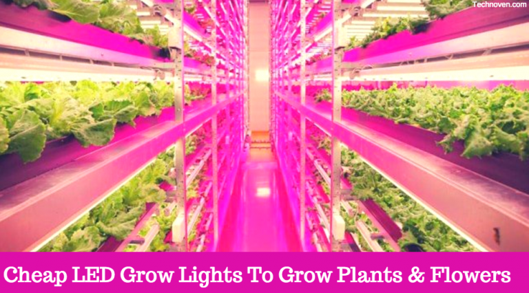 best affordable grow lights for seedlings