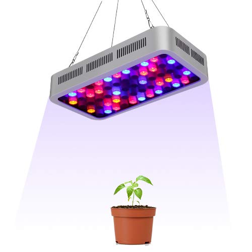 15 Best Cheap Led Grow Lights 2019 Review And Guide 5557