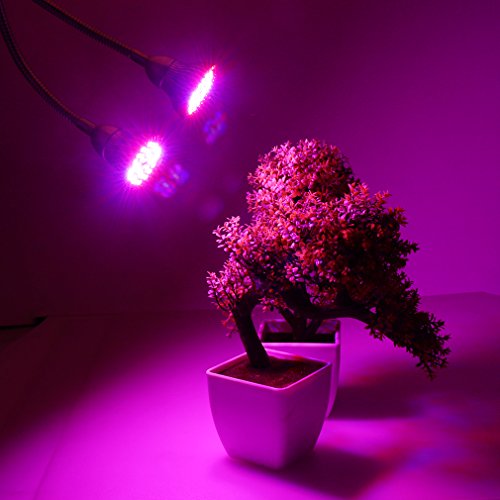 best affordable led grow lights for seedlings